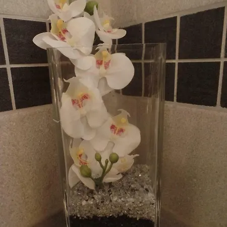 Appartement Les Cyclamens