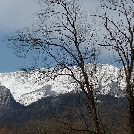 Les Cyclamens Doussard