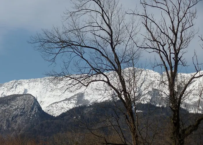 Les Cyclamens Doussard
