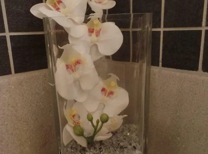 Apartmán Les Cyclamens